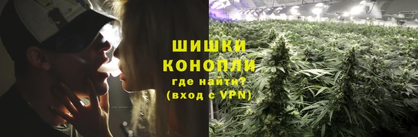прущие грибы Алексин