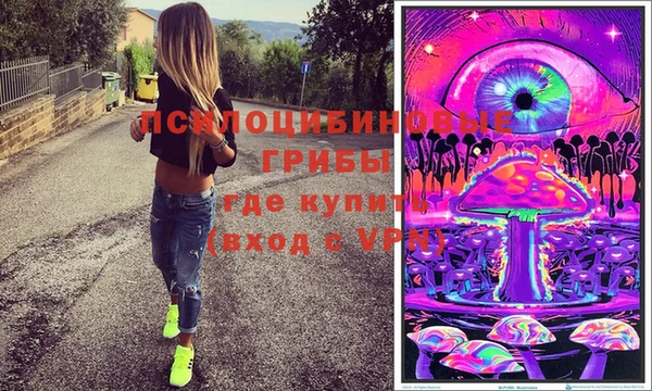 прущие грибы Алексин