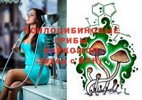 прущие грибы Алексин